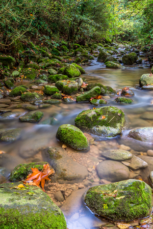 Stream of water (rocks covered with green moss)の写真素材