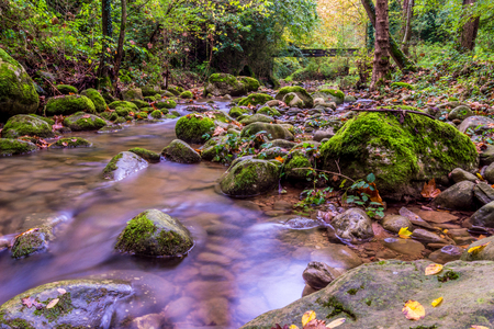 Amazing autumn wild landscape.の写真素材