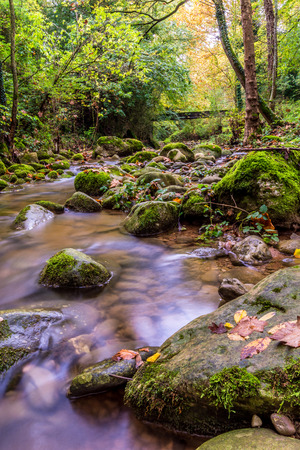 Wild stream of water.の写真素材