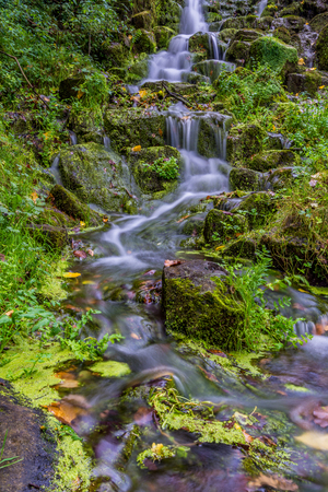 Stream of water (green moss over the stones)の写真素材