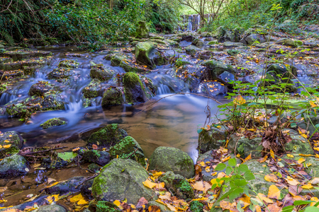 Beautiful stream of water.の写真素材