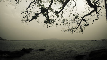 Lonely seaの写真素材