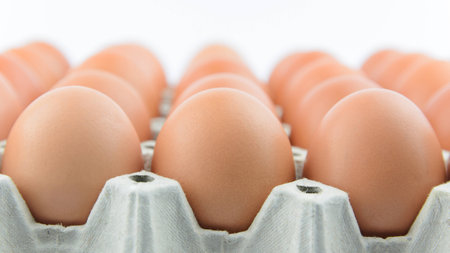 Eggs on paper trayの写真素材