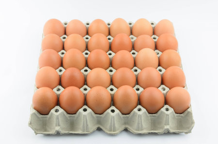 30 eggs on paper trayの写真素材