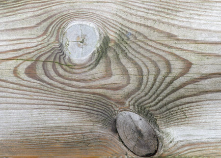 Wood textureの写真素材