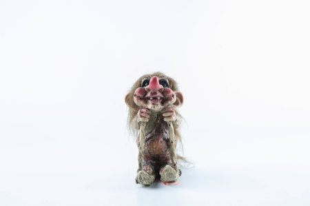 Ugly dollの写真素材