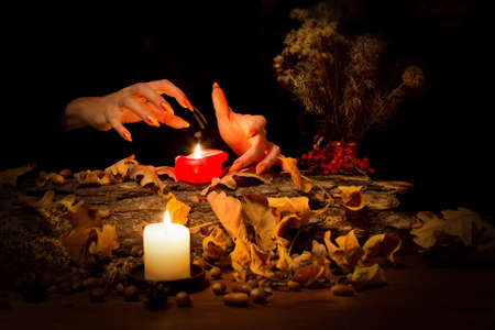 Forest witch guessing on wax on the altar in the dark. Female hands with sharp long nails making passes above candles among magic herbs and dry leaves, selected focus, low keyの写真素材