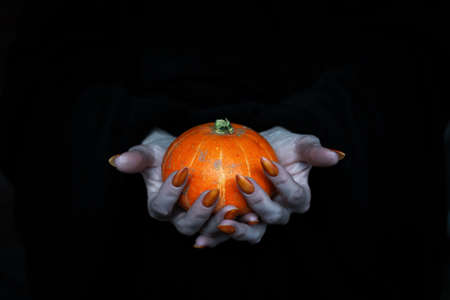 Happy Halloween theme. Small pumpkin in witches pale knotty hands with sharp long nails, low key, selected focus.の写真素材