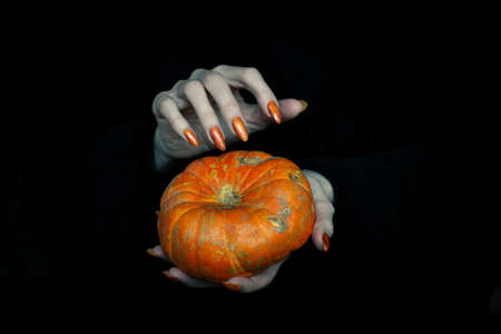 Happy Halloween theme. Witches pale knotty hands with sharp long nails hold a pumpkin in the dark, low key, selected focus.の写真素材