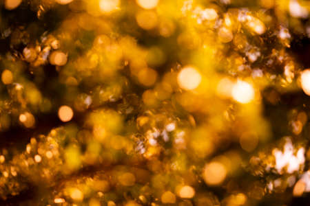 Defocus lights with bokeh shining brightly golden background, blur, soft focus. Autumn and honey gold theme.の写真素材