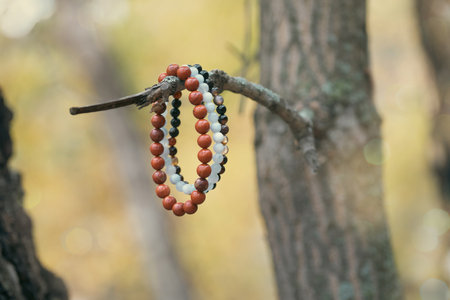 Jasper and agate bracelets hang on a tree branch in autumn forest, close-up.の写真素材