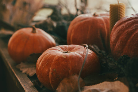 Atmospheric November set. Big pumpkins on wooden surface among dried leaves, selective focus....