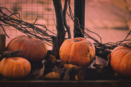Atmospheric autumn set. Pumpkins, dried twigs and leaves on a windowsill in witchy kitchen,...