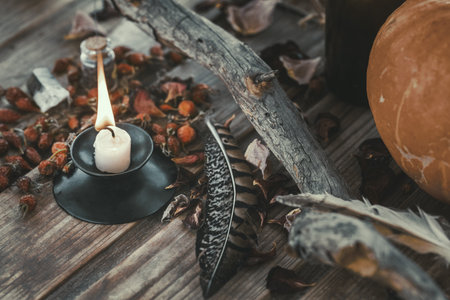 Dry rosehips, tree branches, burning candle and birds feathers on a old wooden surface, selected focus.の写真素材