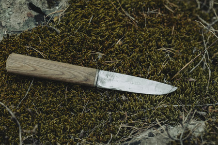A homemade small knife lies on the moss in the forest, close-up, selective focus.の写真素材