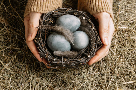 Female hands with birds nest and Easter painted blue eggs among hay background, close-up, Ostara concept. Atmospheric, March, spring, religion, culture, symbol, holiday, paganism, home altar.の写真素材