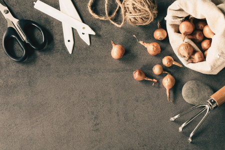 Set of garden hand tools, plant bulbs, stones and ball of jute rope on a gray background, top view, copy space.の写真素材