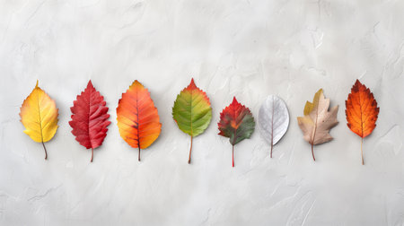 Assorted fall leaves arranged artistically on a textured white background, highlighting the diversity of colors and shapes.の素材