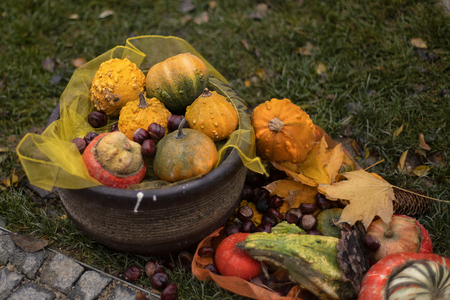 Autumn decoration still life of pumpkins on the street. autumn day.on a street in a European cityの写真素材