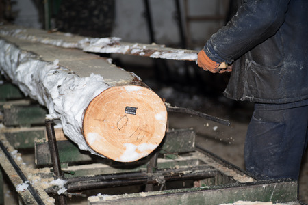 Cutting logs on the boards. In the winter process a tree.Wood processing.の写真素材