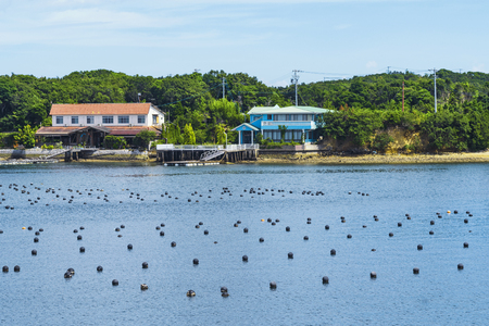 Pearl rows in the ocean, production and cultivation of pearls in the ocean. landscape and Pearl aqua farming cultivation Shima Japan.の写真素材