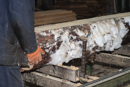 Cutting logs on the boards. In the winter process a tree.Wood processing.の写真素材
