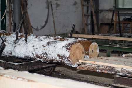 Cutting logs on the boards. In the winter process a tree.Wood processing.の写真素材