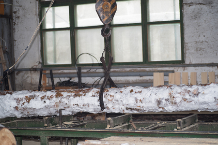 Cutting logs on the boards. In the winter process a tree.Wood processing.の写真素材
