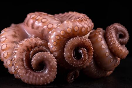 Raw octopus on black stone background.Fresh seafood.の写真素材