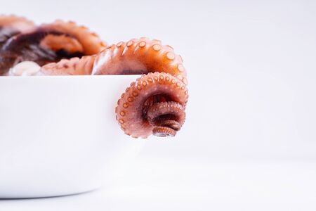 Close up of raw octopus a white plate on white background.Fresh seafood,tentacles of octopus on white background.の写真素材
