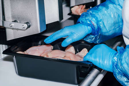 Food industry detail with poultry meat processing.Factory for the production of chicken meat.Technological process.The poultry processing in food industry.の写真素材