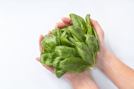 Healthy food concept. Fresh greens. Healthy diet.Female hands on a white background hold green...