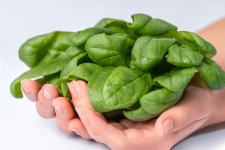 Healthy food concept.Leaves of fresh baby spinach in a bowl in hand. Super food.の写真素材
