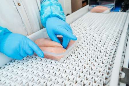 Food products meat chicken in plastic packaging on the conveyor.Chicken fillet production line. Factory for the production of food from meat.の写真素材