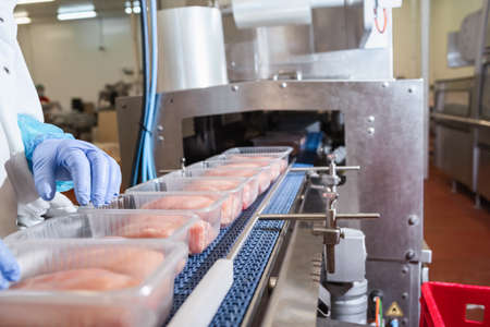 Conveyor Belt Food.Factory for the production of food from meat.Production line with packaging .Food products meat chicken in plastic packaging on the conveyor.の写真素材