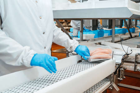 Food products meat chicken in plastic packaging on the conveyor.Chicken fillet production line. Factory for the production of food from meat.の写真素材