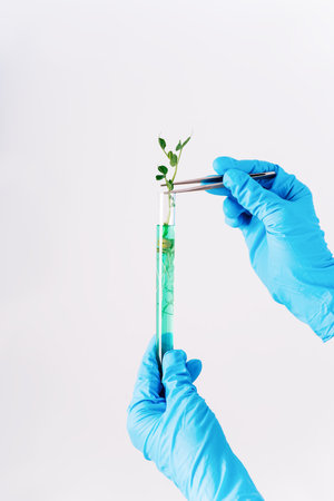 Gloved hands hold a sample with a green sprout in a test tube. Research, plant microbiology.の写真素材