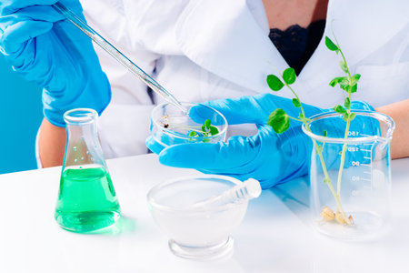 Female Research Scientist Uses Micropipette Filling Test Tubes.A laboratory assistant in a...