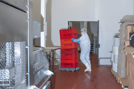 Factory for the production of food from meat.Industrial equipment at a meat factory.Worker moves...