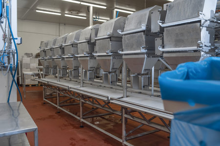 Line for the production of semi-finished meat products. Factory for the production of food from...