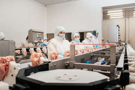 Meat processing plant.People working at a chicken factory - stock photo.Automated production line in modern food factory.の写真素材