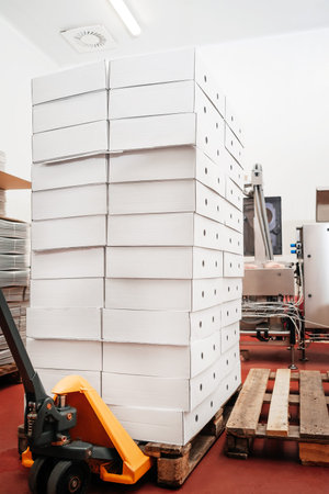Manual pallet truck with carton boxes .Fork pallet truck with cardboard boxes in a...
