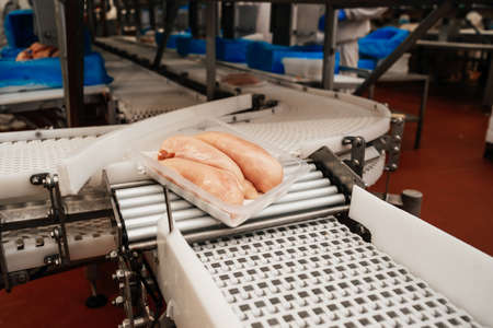 modern poultry processing plant.Meat processing in food industry.Packing of meat slices in boxes on a conveyor belt.Line for the production of semi-finished meat products.の写真素材