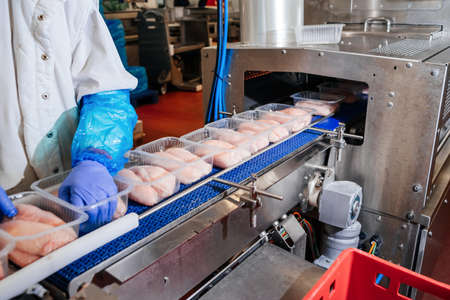 Conveyor Belt Food.Modern poultry processing plant.Meat processing plant.Chicken fillet production line.Automated production line in modern food factory.の写真素材