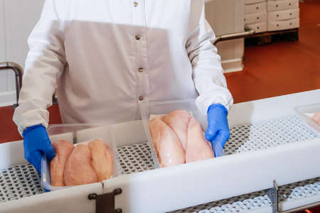 Meat processing equipment.Automated production line with packaging and cutting of meat in modern food factory.の写真素材