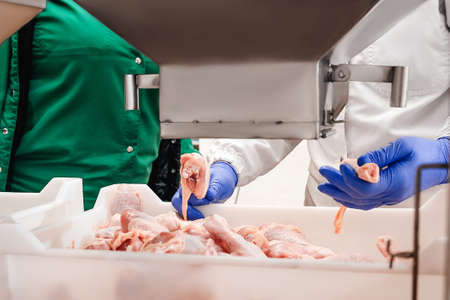 Manufacturing process.Conveyor Belt Food.Automated production line in modern food factory.Factory for the production of food from meat,poultry.Containers on a conveyor line with raw chicken drumstick.の写真素材