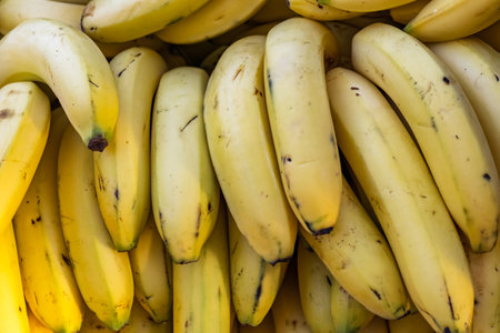 Close-up of a bunch of ripe bananas. selective focus.の写真素材