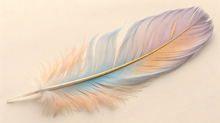 feather of a bird on a white background, close-upの素材