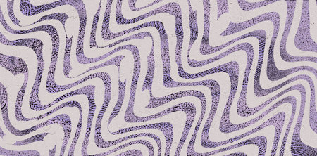 texture of print fabric striped leopard for background, closeup of photo