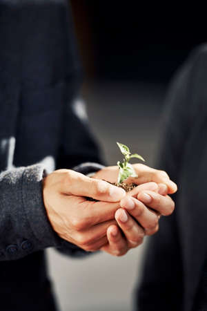 Cropped shot of an unrecognizable businessman holding a new plant in soil in his palms during the dayの写真素材